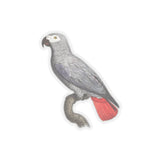 Gray Parrot Sticker