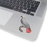 Gray Parrot Sticker