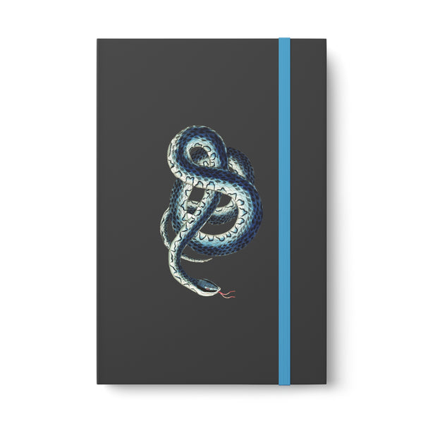 Blue Snake Illustration Color Contrast Notebook