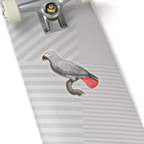 Gray Parrot Sticker