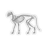 Cat Skeleton Kiss-Cut Sticker