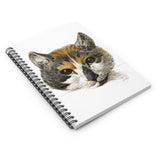 Calico Cat Illustration Ruled Spiral Notebook