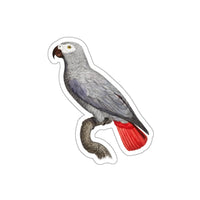 Gray Parrot Sticker