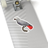 Gray Parrot Sticker