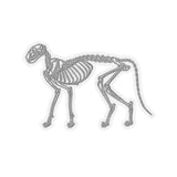 Cat Skeleton Kiss-Cut Sticker