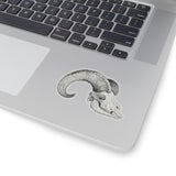 Big Horn Sheep Skull Kiss-Cut Sticker