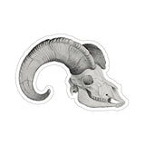 Big Horn Sheep Skull Kiss-Cut Sticker