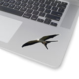 Swallowtail Kite with Snake Kiss-Cut Sticker