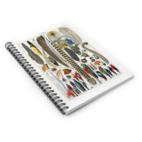 Plumes & Feathers Spiral Notebook - Ruled Line