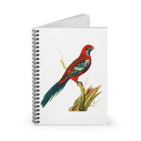 Splendid Parrot Ruled Spiral Notebook