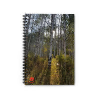 Dandelion in Aspen Grove Ruled Spiral Notebook