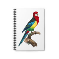 Eastern Rosella Parrot Ruled Spiral Notebook