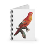 Crimson Shining Parrot Ruled Spiral Notebook