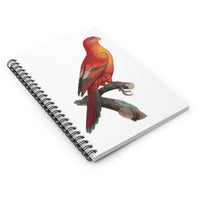 Crimson Shining Parrot Ruled Spiral Notebook
