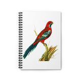 Splendid Parrot Ruled Spiral Notebook