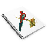 Splendid Parrot Ruled Spiral Notebook