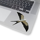 Swallow Tailed Kite Sticker