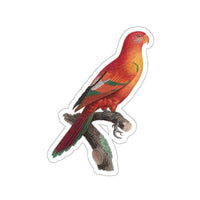 Crimson Shining Parrot Sticker