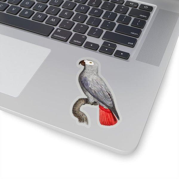 Gray Parrot Sticker