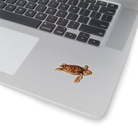 Baby Sea Turtle Sticker