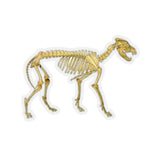 Wolf Skeleton Sticker