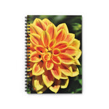 Dahlia Flower #3 Ruled Spiral Notebook