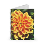 Dahlia Flower #3 Ruled Spiral Notebook