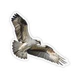 Osprey Sticker