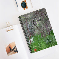 Florida Palmettos Ruled Spiral Notebook