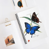 Blue Mountain Swallowtail Butterfly Ruled Spiral Notebook