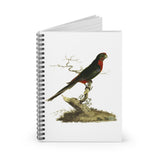 Pennantian Parrot Spiral Notebook - Ruled Line