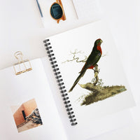 Pennantian Parrot Spiral Notebook - Ruled Line