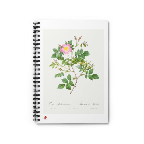 Malmedy Rose Botanical Print Ruled Spiral Notebook