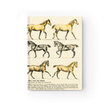 Horses Walk Trot Canter Ruled Hardback Journal