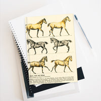 Horses Walk Trot Canter Ruled Hardback Journal