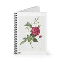 Blood-Red Bengal Rose Ruled Spiral Notebook