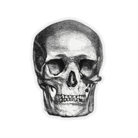 Human Skull Kiss-Cut Sticker