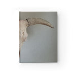 Cow Skull Blank Hardback Journal