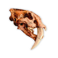 Sabretooth Tiger Skull Sticker