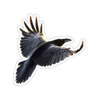 Raven in Flight Kiss-Cut Sticker
