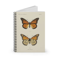 Danais Archippus, The Southern Monarch Butterfly Ruled Spiral Notebook