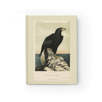 Stellers Sea Eagle Ruled Hardback Journal