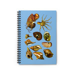 Seashells Ruled Spiral Notebook