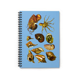 Seashells Ruled Spiral Notebook