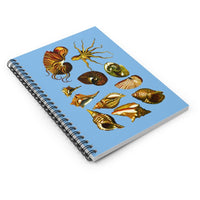 Seashells Ruled Spiral Notebook