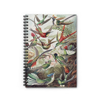 Hummingbirds Ruled Spiral Notebook