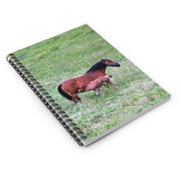 Mare and Foal Ruled Spiral Notebook