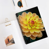 Dahlia Flower #1 Ruled Spiral Notebook