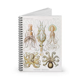 Cephalopods Ruled Spiral Notebook