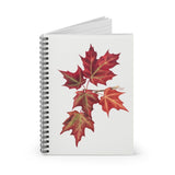 Autumn Leaves Ruled Spiral Notebook